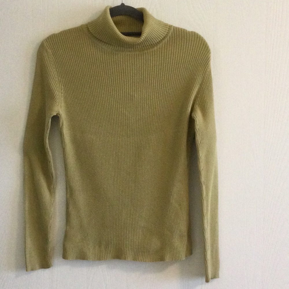3 for $30 item - Green Laura Petites Turtleneck - Picture 1 of 5